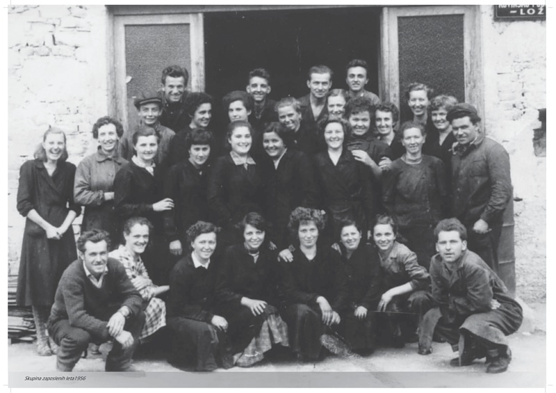 Alveus povijest radnici